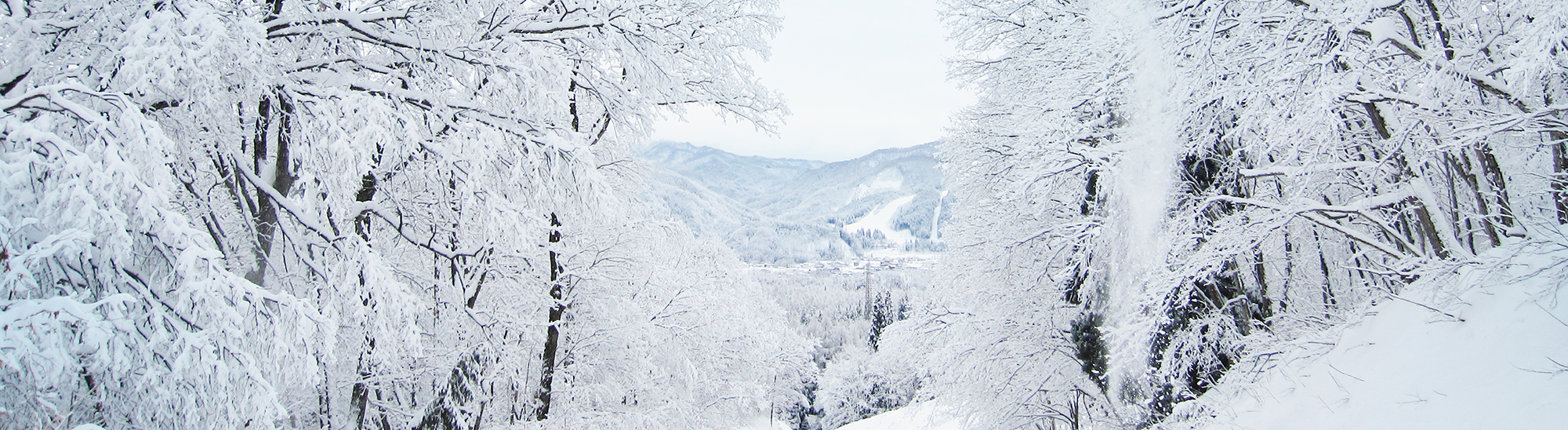 株式会社藤建のイメージ画像